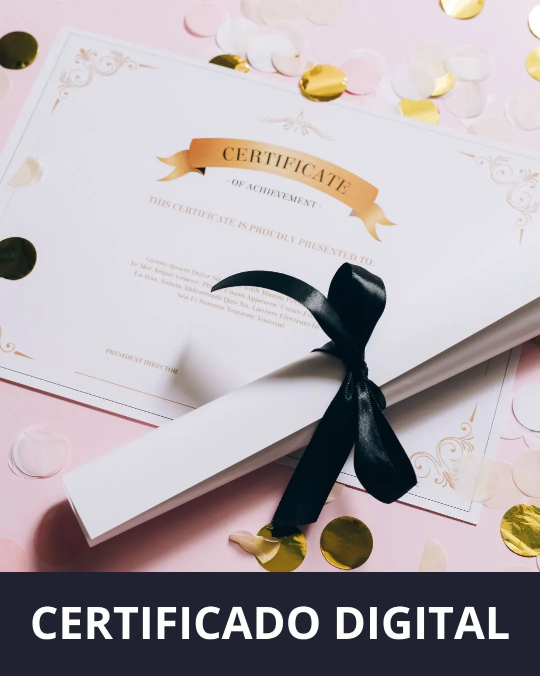 Certificado Digital de Conclusão
